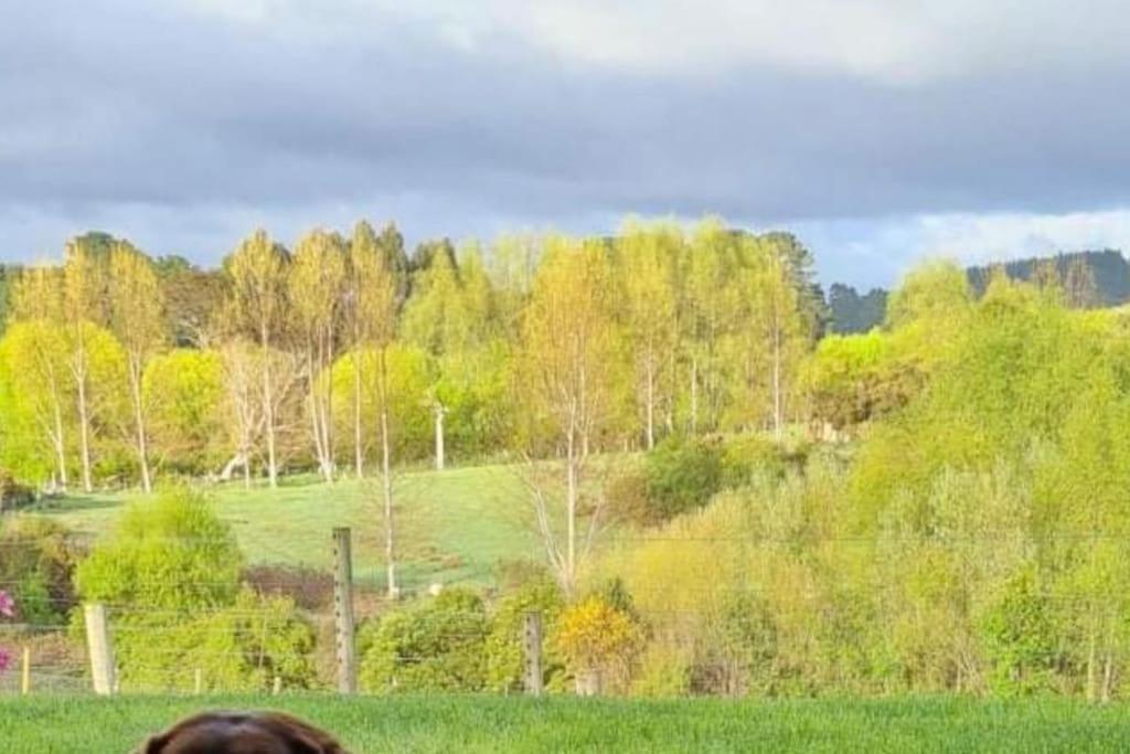 Maymorn Orchard Suites Upper Hutt Zewnętrze zdjęcie