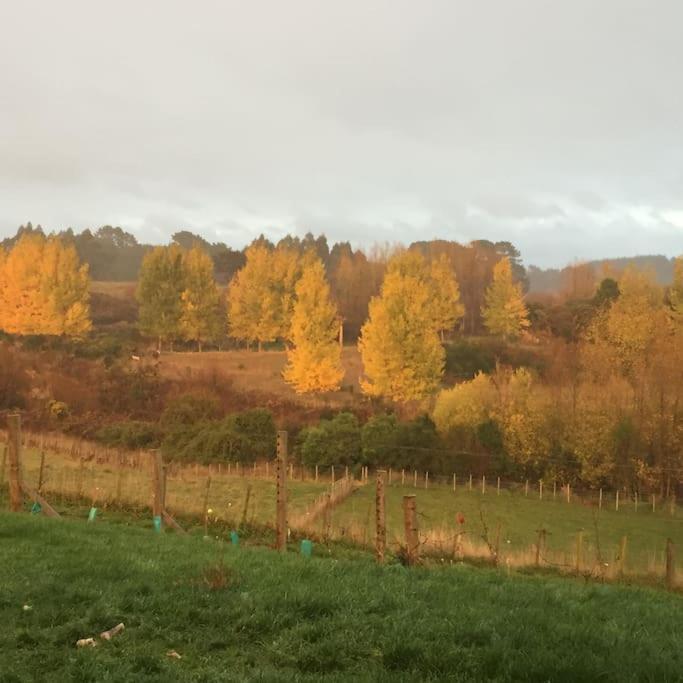 Maymorn Orchard Suites Upper Hutt Zewnętrze zdjęcie