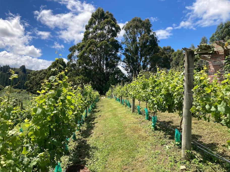 Maymorn Orchard Suites Upper Hutt Zewnętrze zdjęcie
